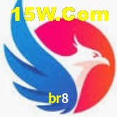 Ofertas Exclusivas br8